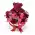 Box of red and pink roses